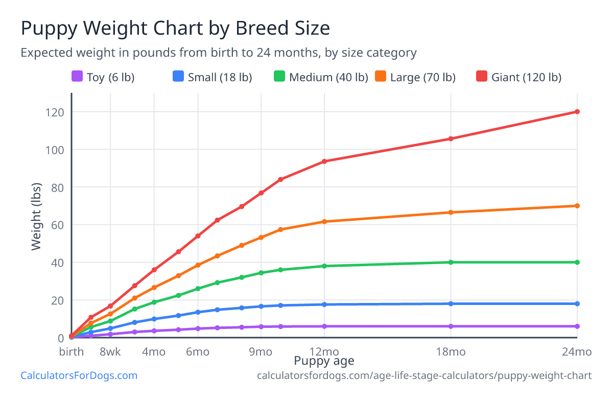 Puppy weight chart showing expected weight in pounds from birth to 24 months for toy, small, medium, large and giant breeds, based on representative adult weights of 6, 18, 40, 70 and 120 lbs.